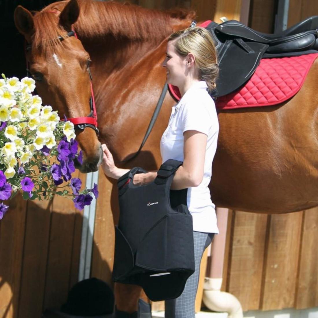 Licol équitation cheval et poney SCHOOLING