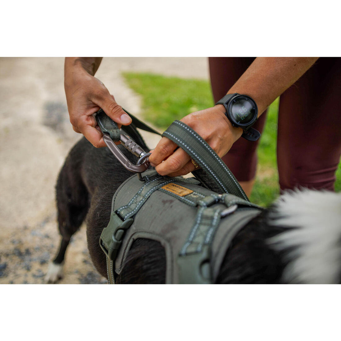 LAISSE CHIEN OUTDOOR 500