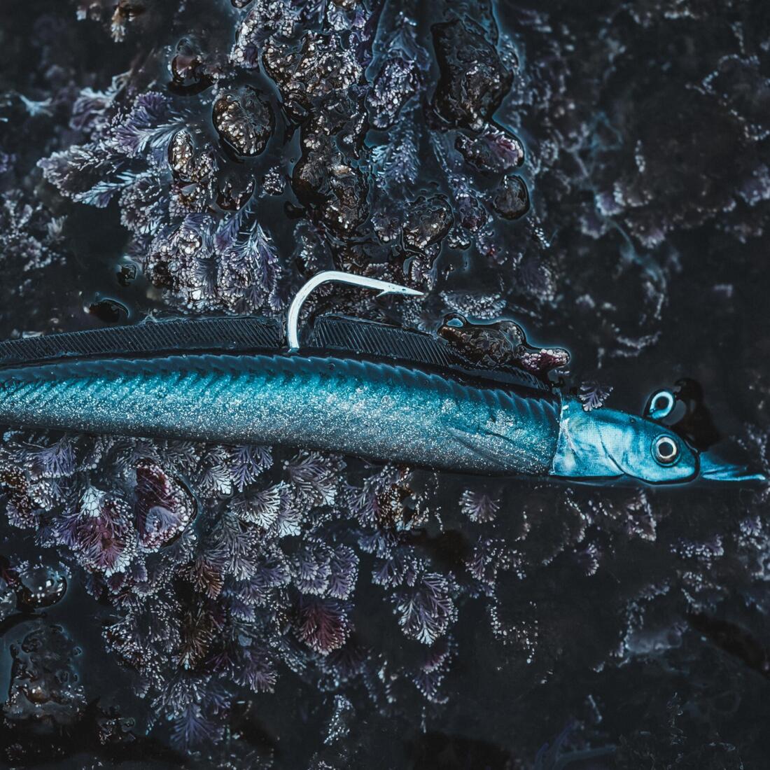 COMBO leurres souples shad lançon EELO 110 8gr AYU