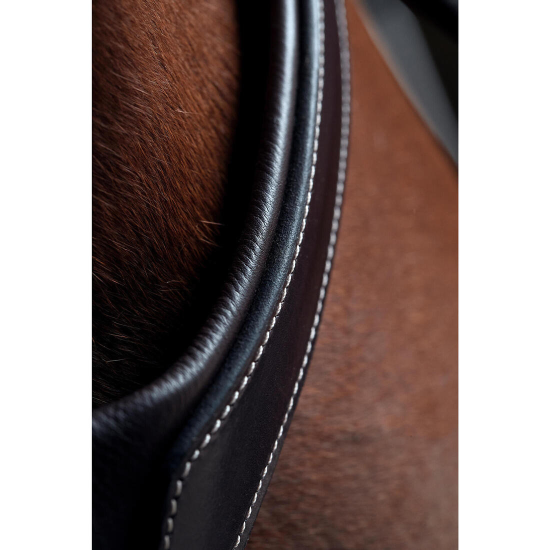 Collier de chasse 5 points Cheval et Poney - marron foncé