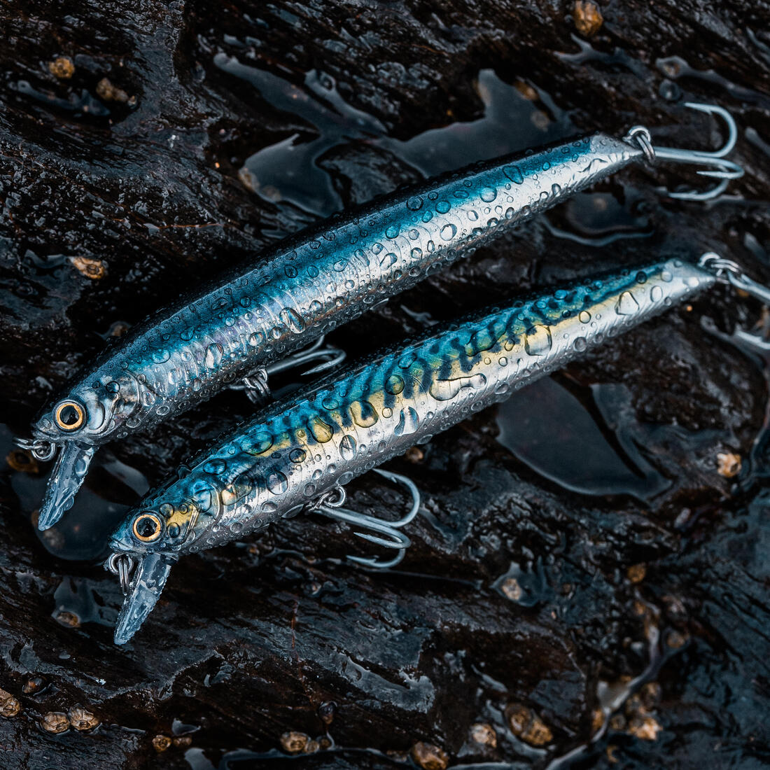 Poisson nageur Saxton 110F au leurre en mer