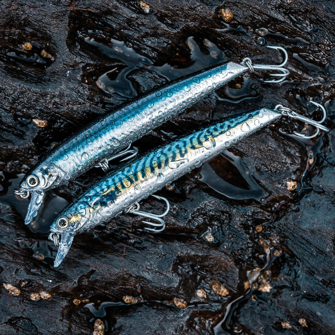 Poisson nageur Saxton 110F au leurre en mer