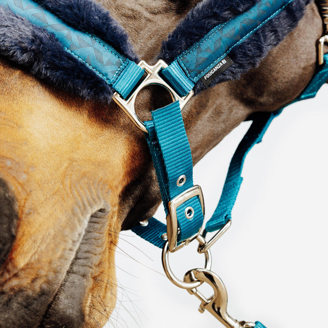 Kit licol et longe équitation Cheval et Poney - Confort rose et
