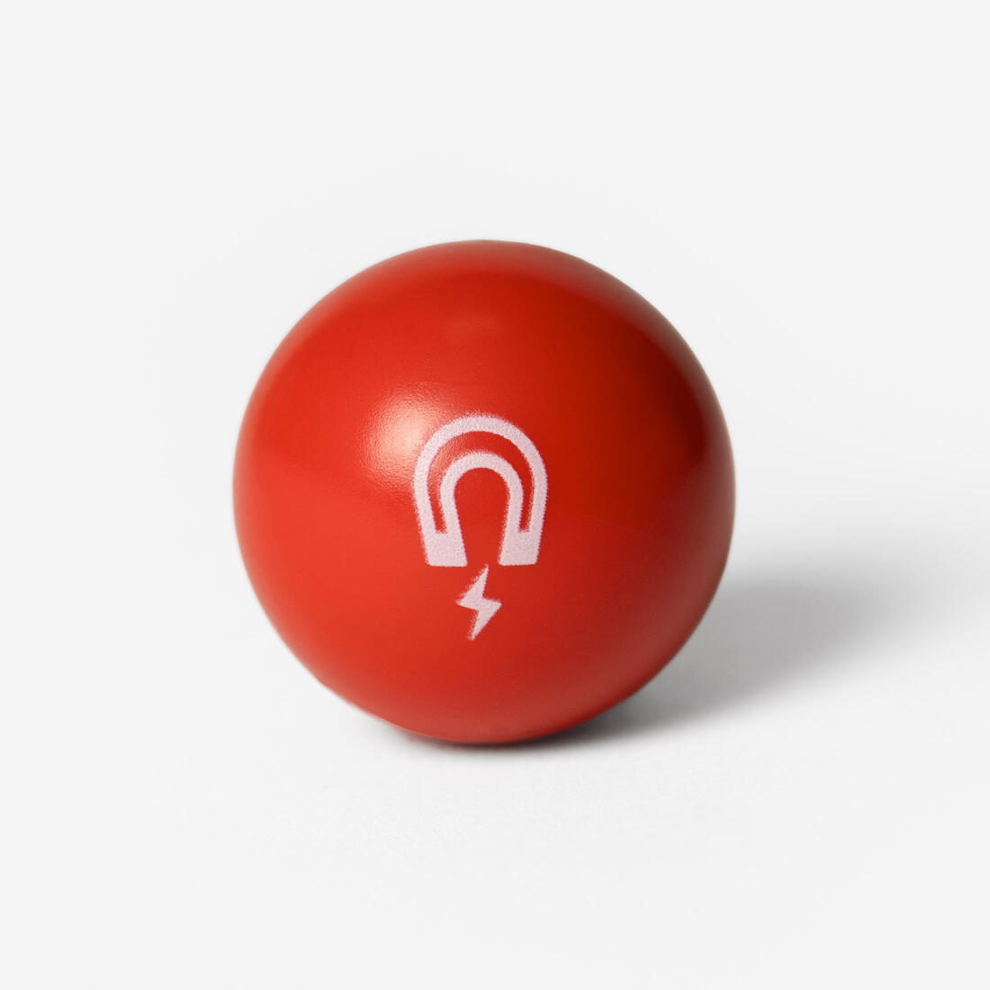 2 COCHONNETS MAGNÉTIQUES COMPATIBLES RAMASSE BOULE