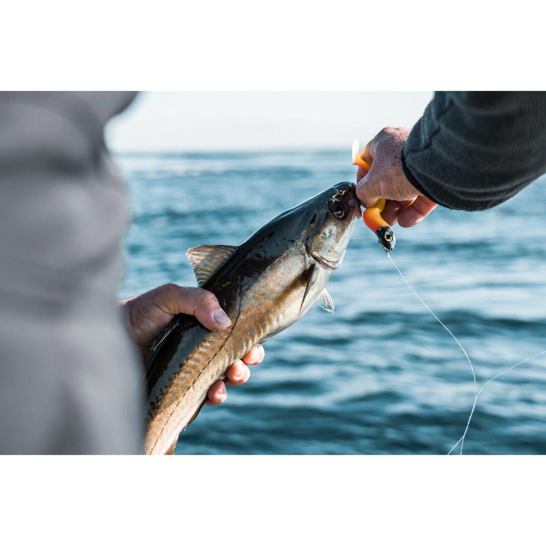 Kit leurres souples shad texan anchois ancho 120 12gr ayu en mer