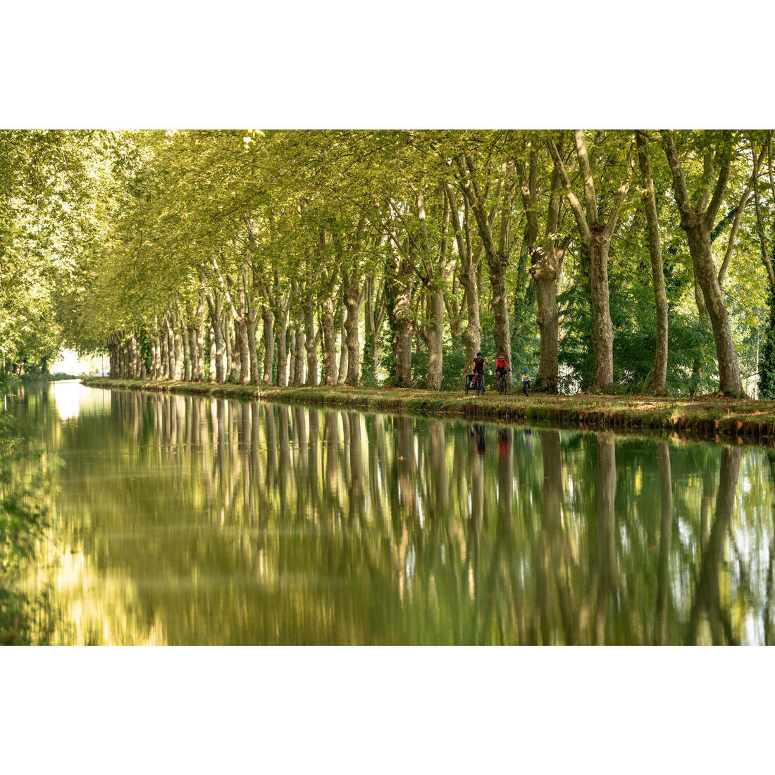 VÉLO TOUT CHEMIN RIVERSIDE 500 VERT D'EAU