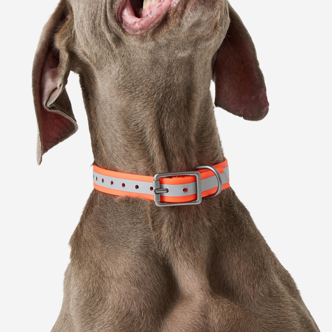 Collier réfléchissant pour chien 500 jaune fluo