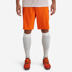 orange papaye