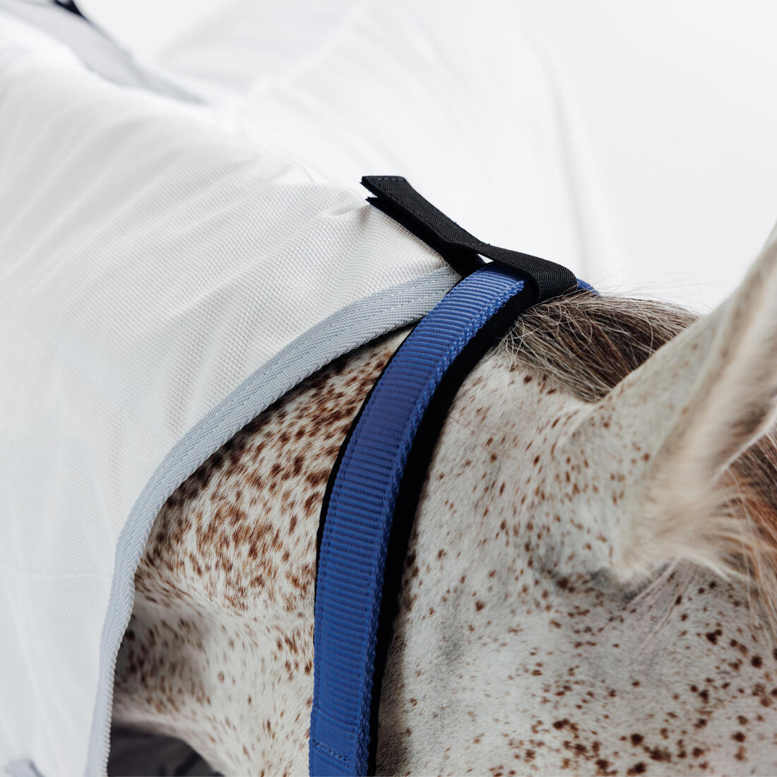 Chemise anti-mouche équitation Cheval et Poney - 500 Beige