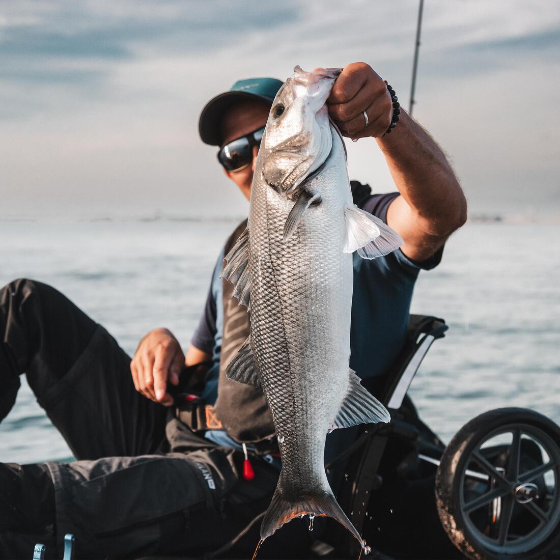 COMBO leurres souples Shad OSARDA 80 Ayu