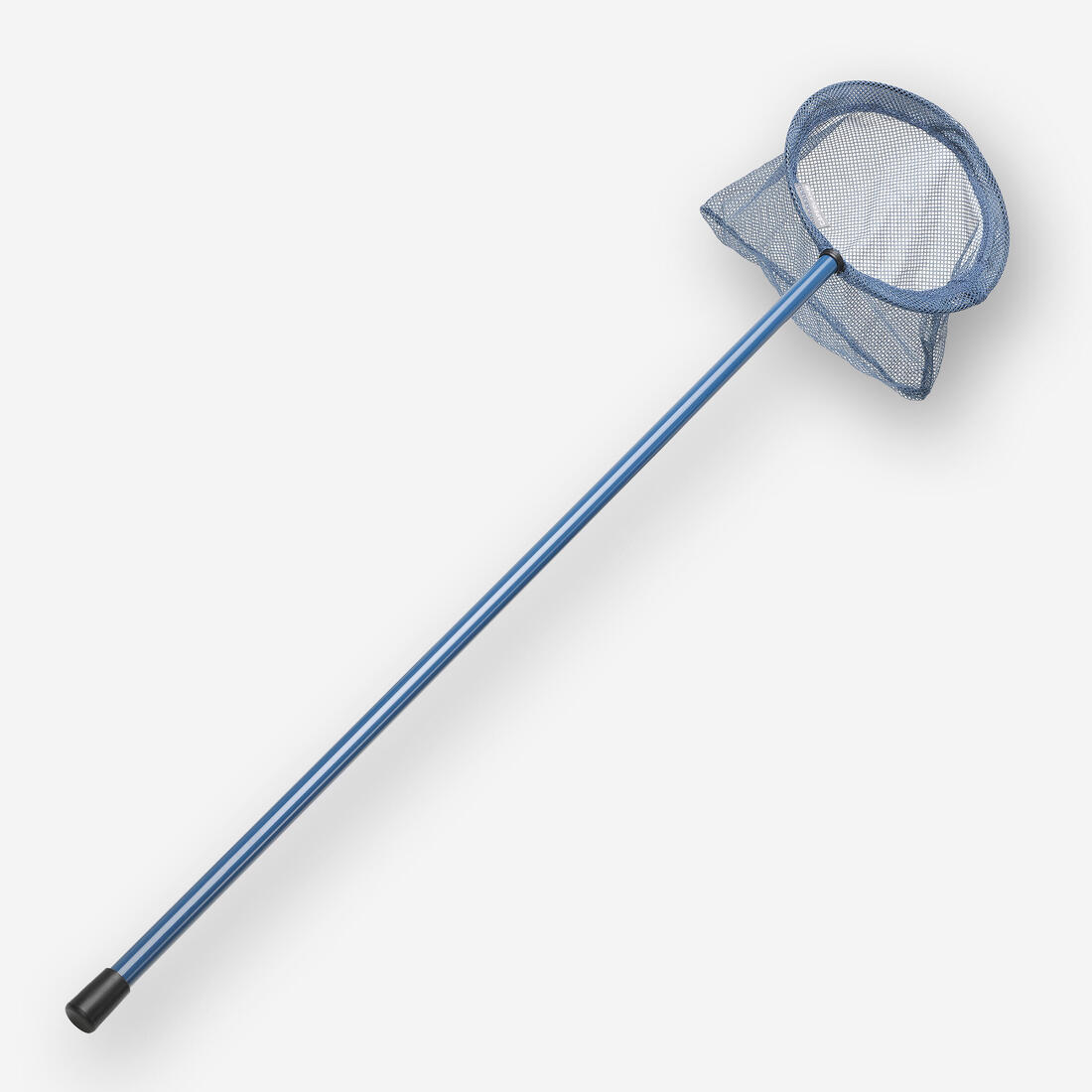 Epuisette Menthe découverte du milieu aquatique