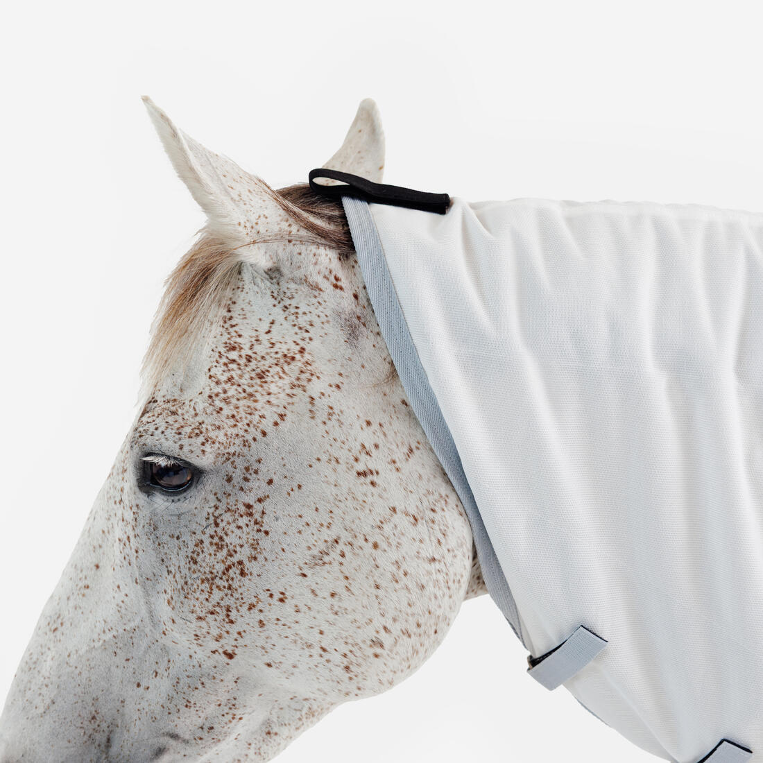 Chemise anti-mouche équitation Cheval et Poney - 500 Beige