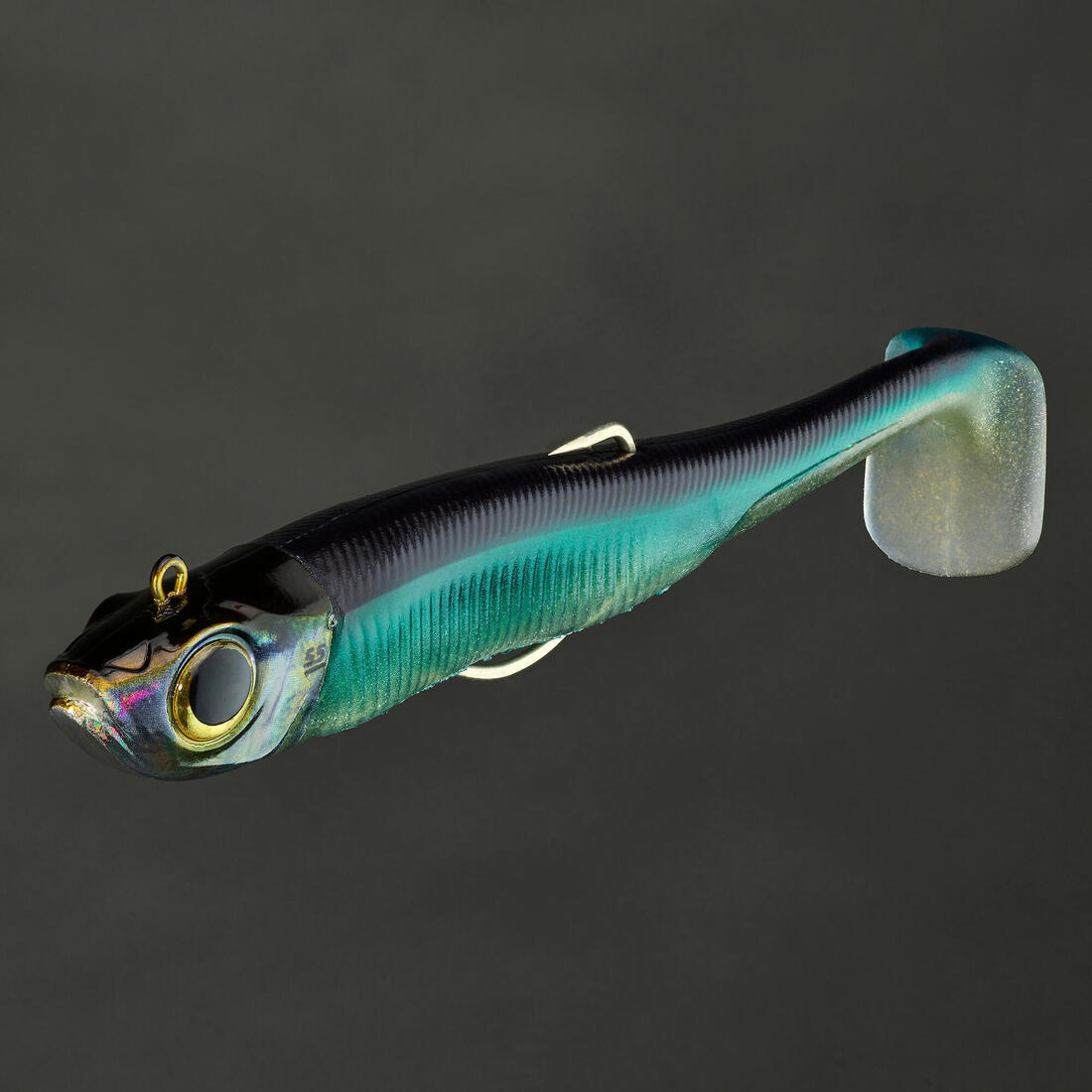 IMG_1995097