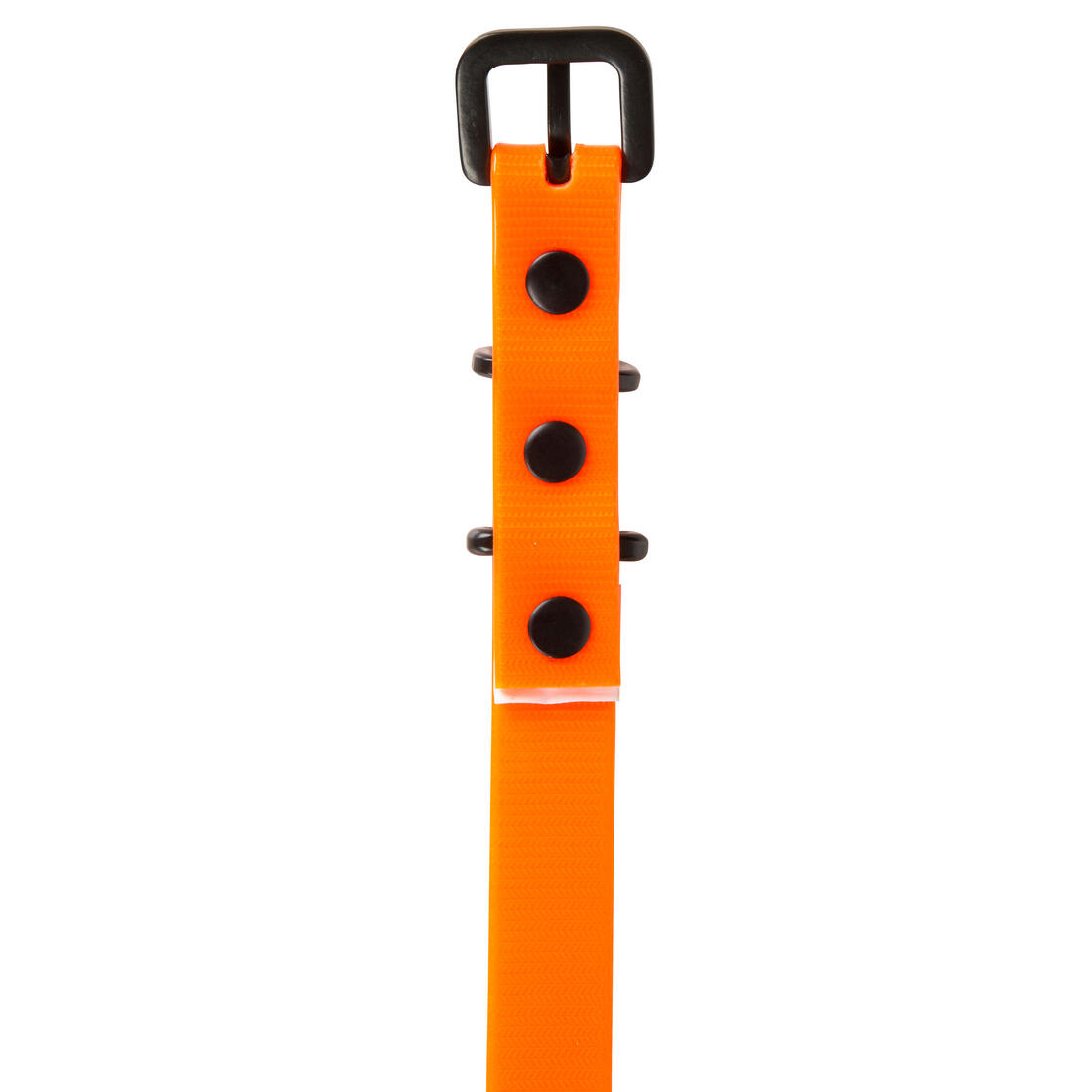 Collier chien Jaune fluo 500