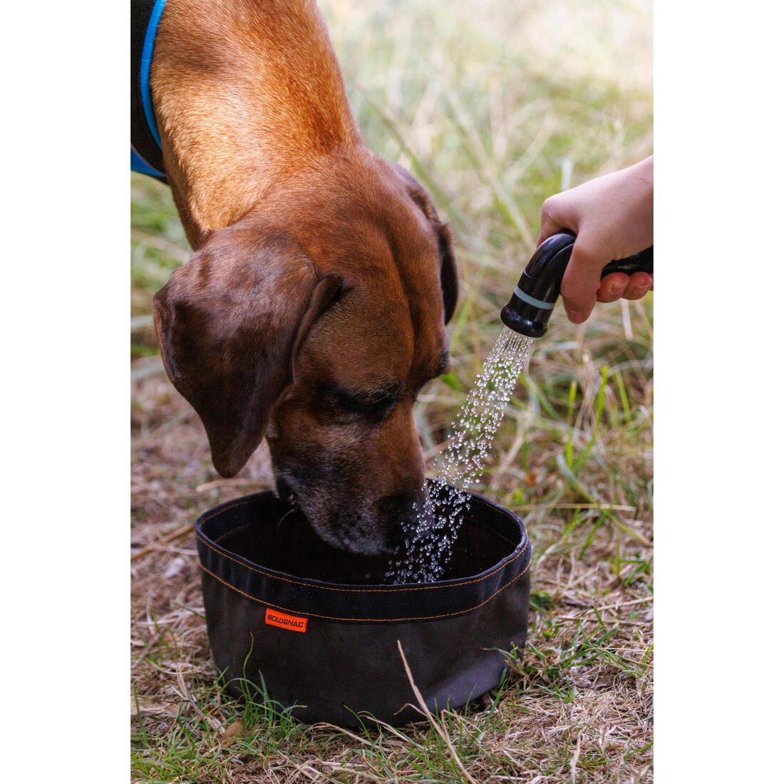 Gamelle pliable pour chien 100