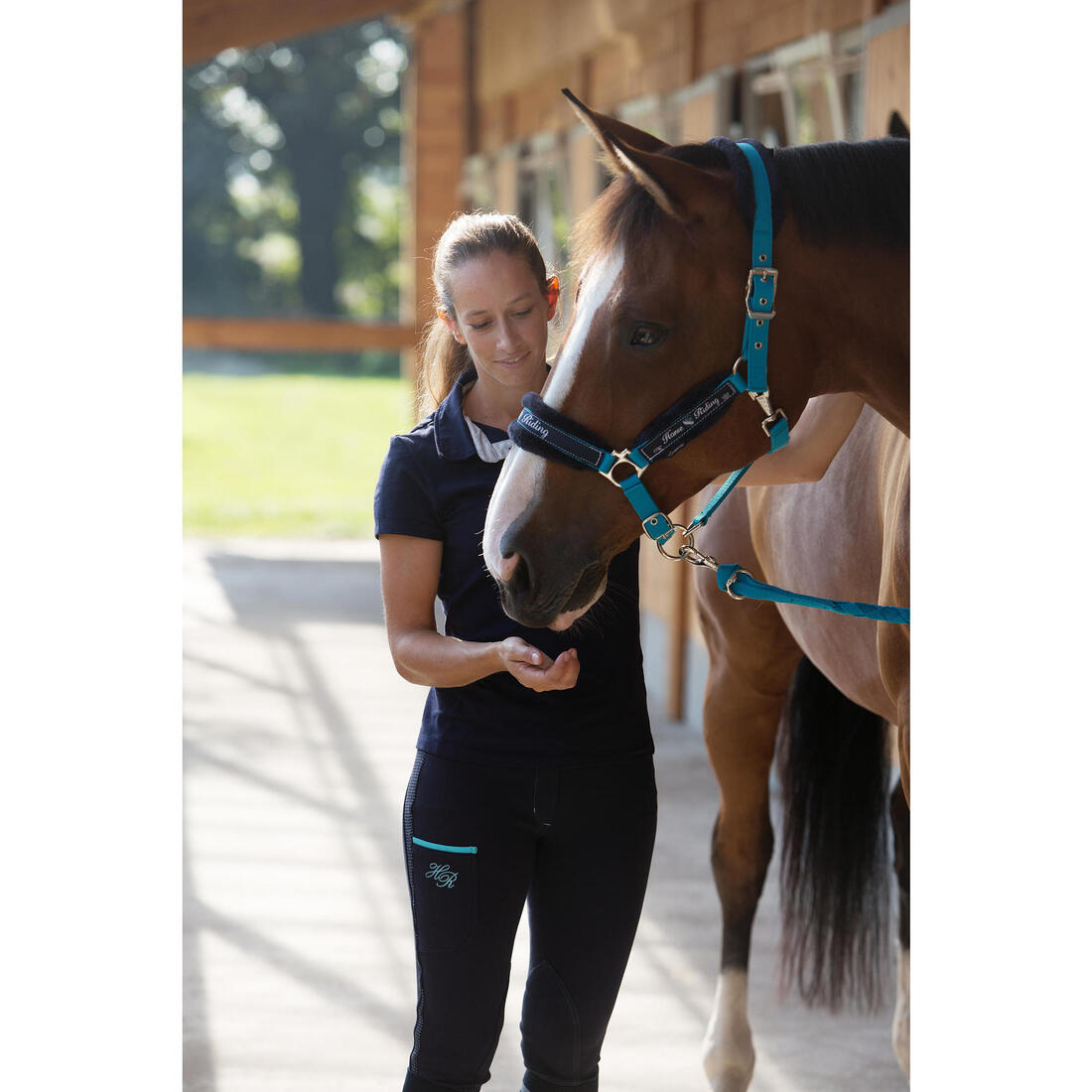 Pack licol + longe équitation cheval et poney WINNER