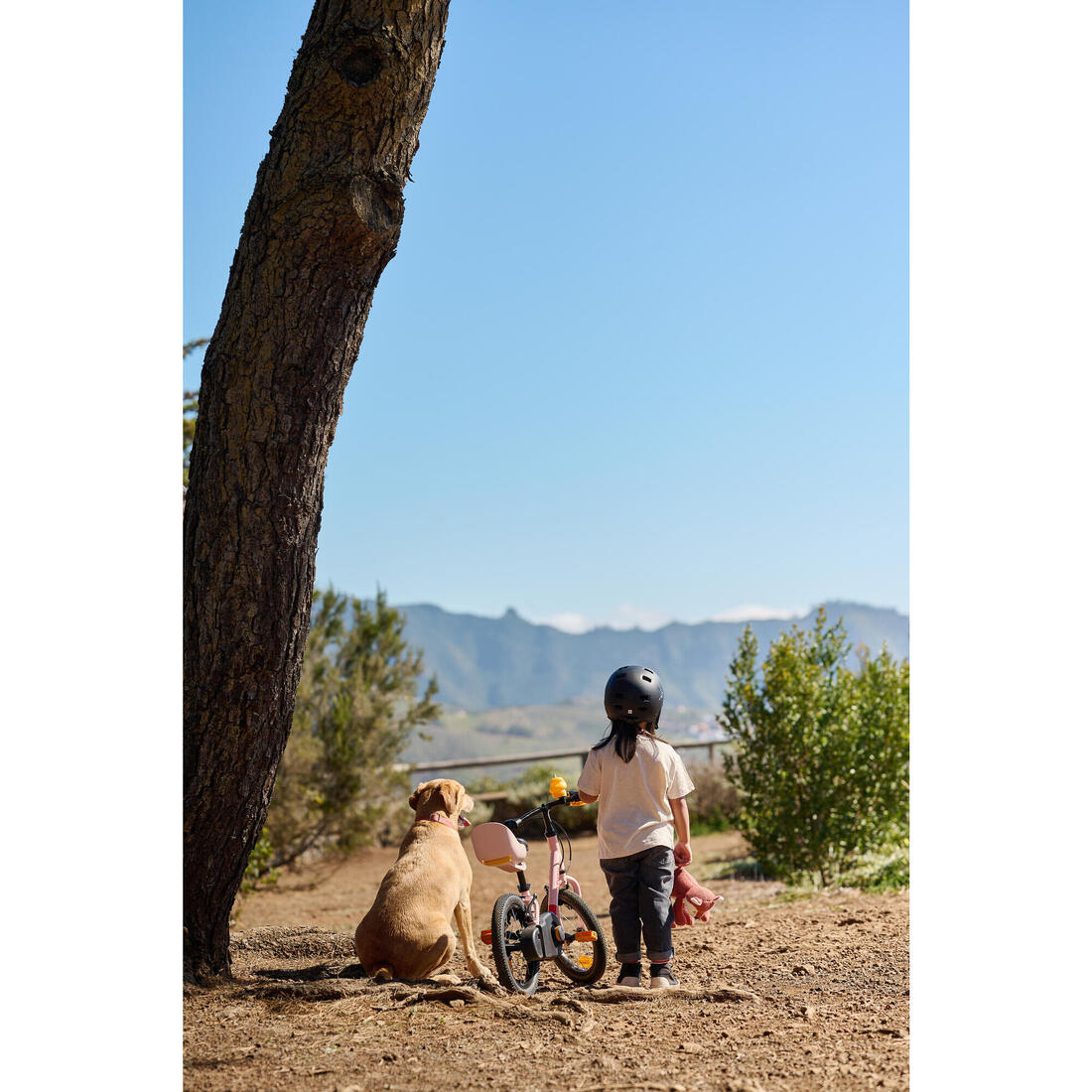 Velo enfant 2en1 draisienne 3-5 ans 14 pouces - discover 500