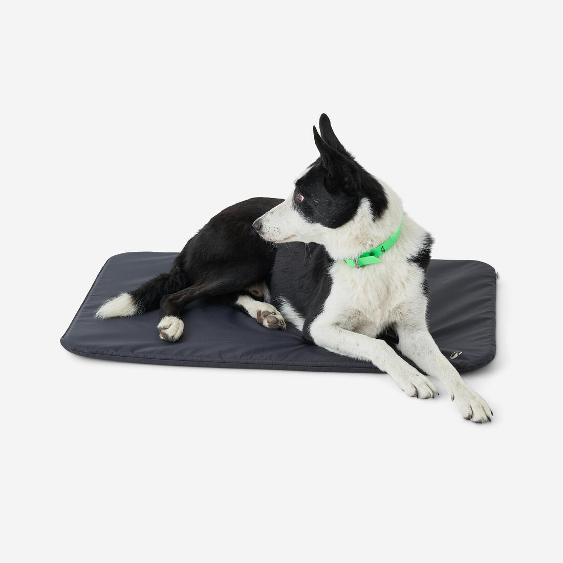 Tapis pour chien épaisseur 2 cm bleu