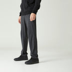 gris carbone