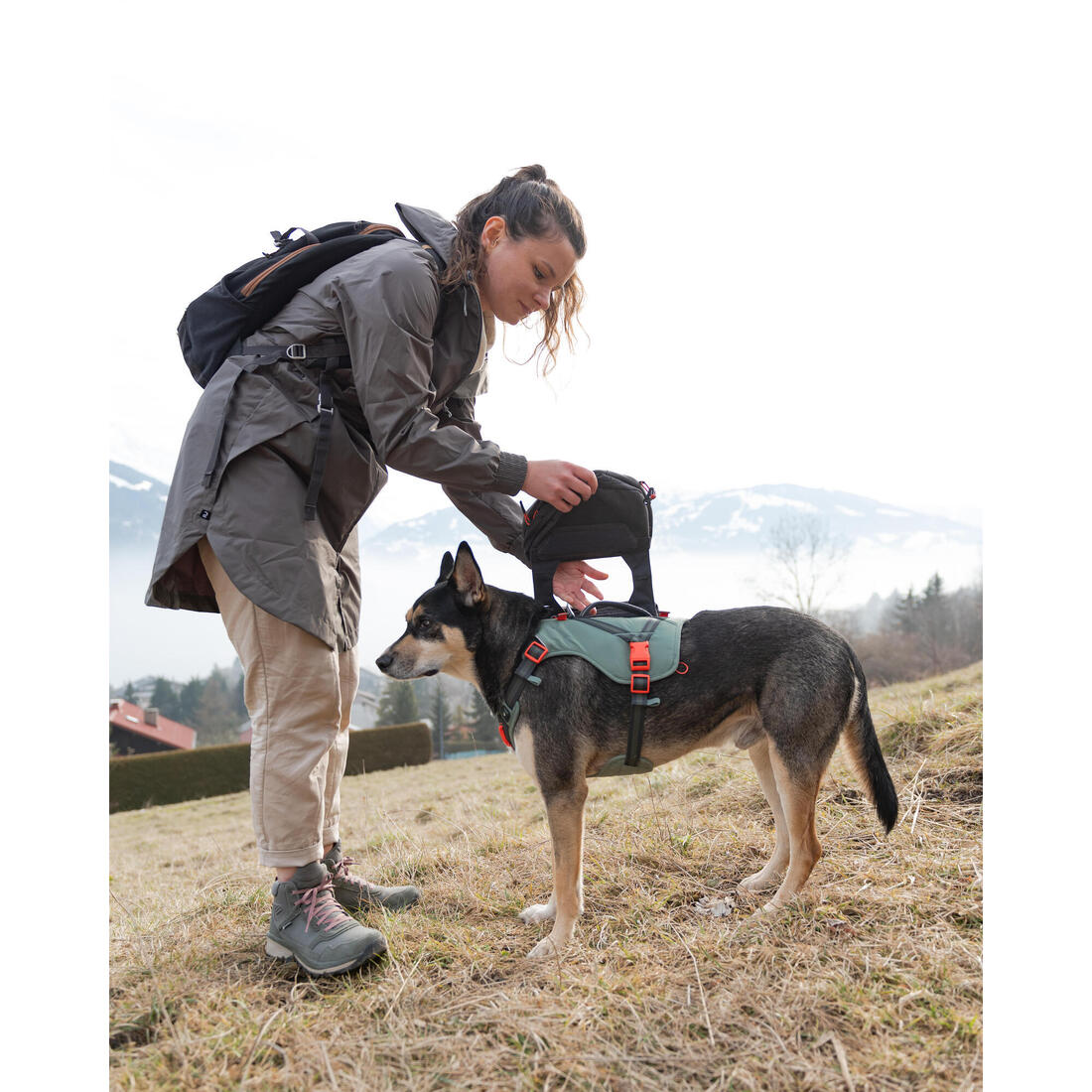 Harnais de randonnée avec sac à dos pour chien