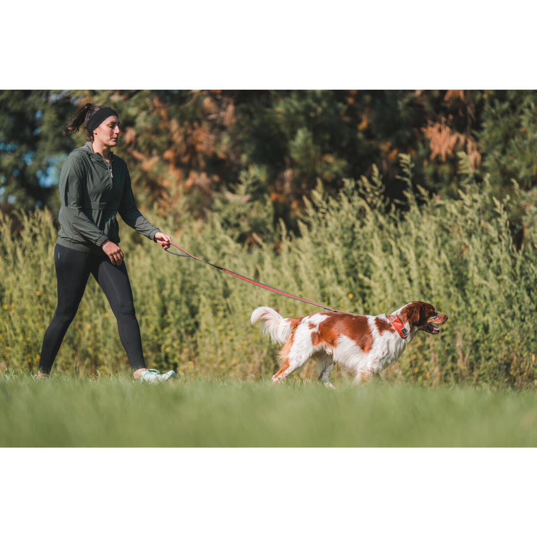 LAISSE CHIEN OUTDOOR 500