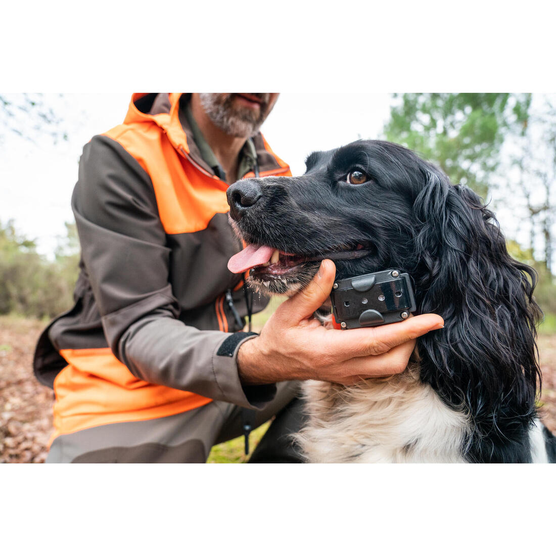 Pack collier + télécommande de dressage pour chien Num'axes Canicom 300