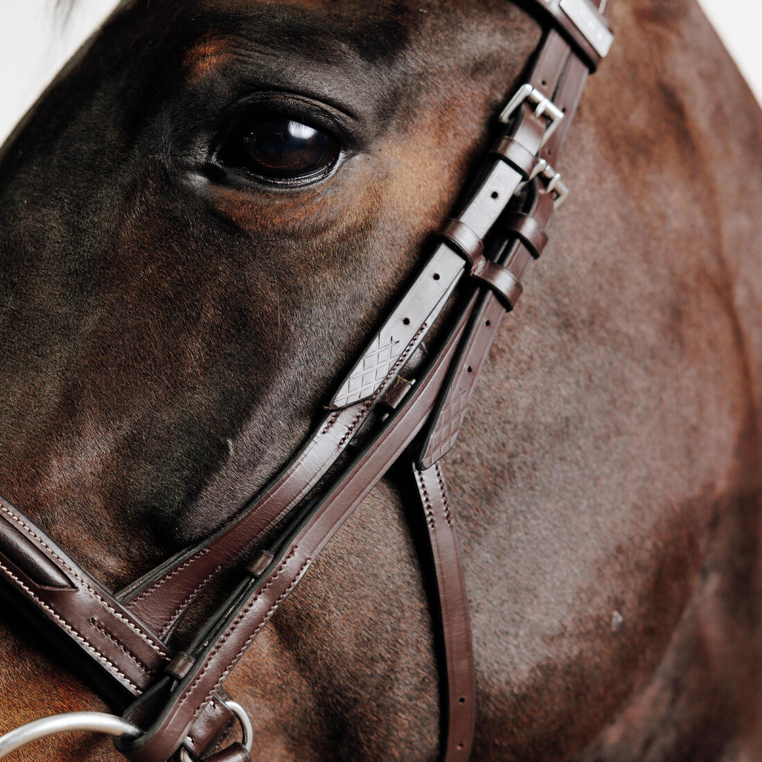 Filet équitation cuir muserolle française Cheval et Poney - 900