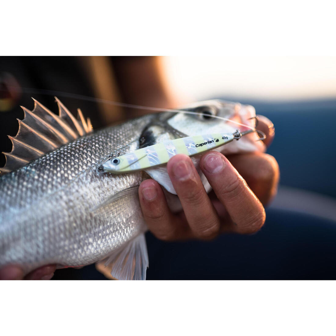 Casting jig biastos 20gr au leurre en mer
