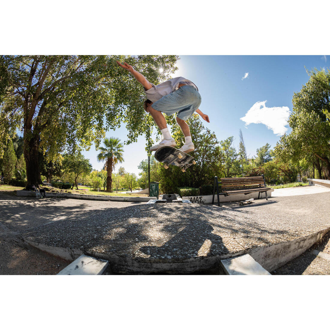 1 TRUCK SKATE FURY EMBASE FORGÉE TAILLE 8" (20,32mm)