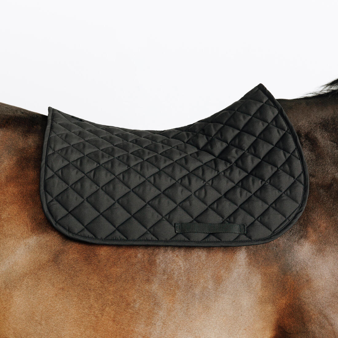 Tapis de selle équitation cheval - 100 marine