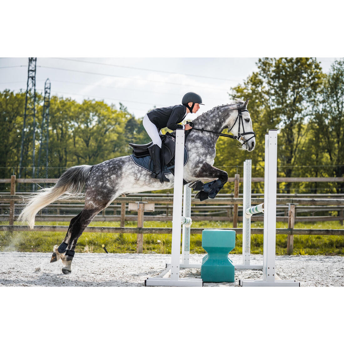 Selle équitation cuir polyvalente 17,5" Cheval - Paddock noire