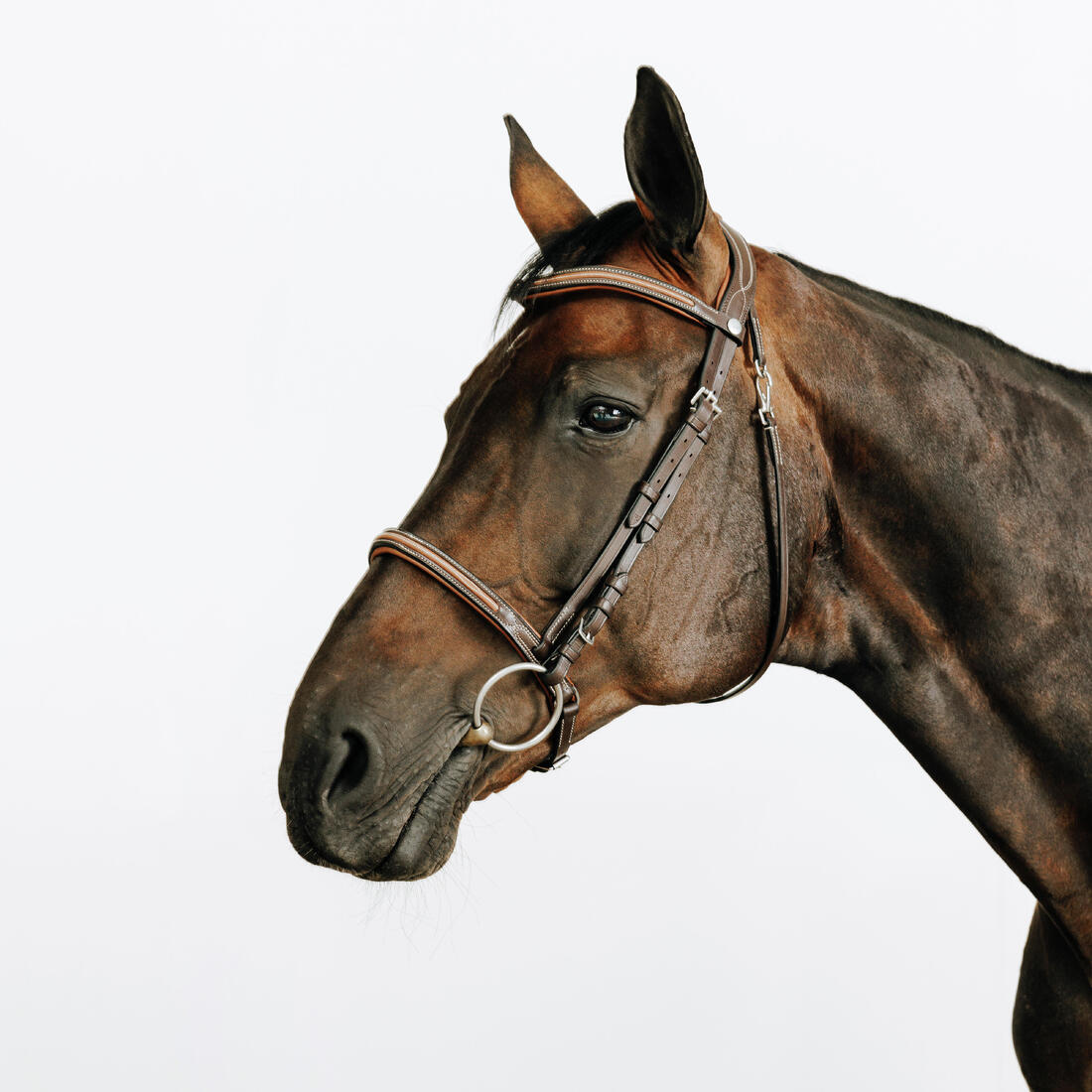 Filet équitation cuir muserolle française surpiqué cheval et poney - 580