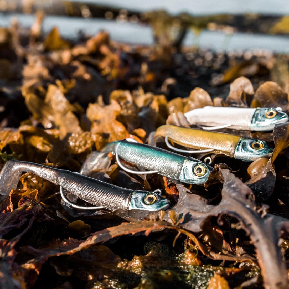 COMBO shad texan anchois ANCHO 70 6gr BLANC/DOS en mer