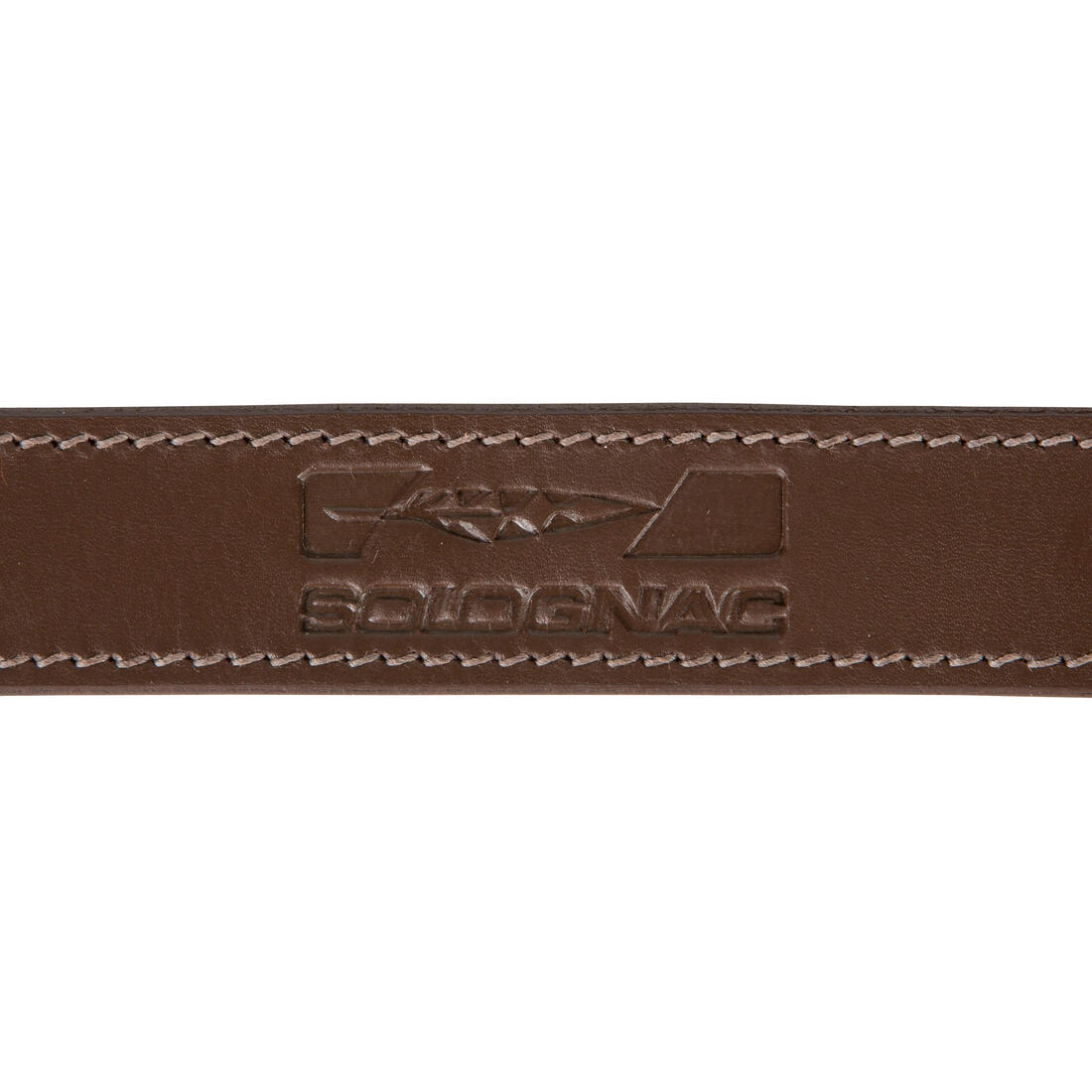 Laisse chien  cuir 900