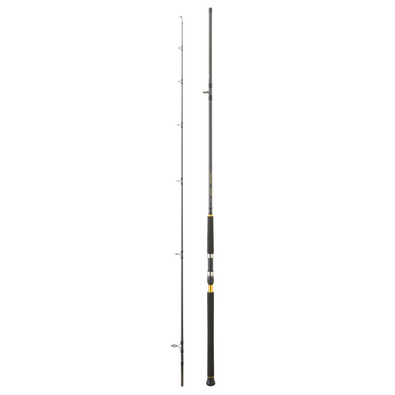 Canne LEGALIS SHORE JIG 2025 2.90m 28/84gr - DAIWA