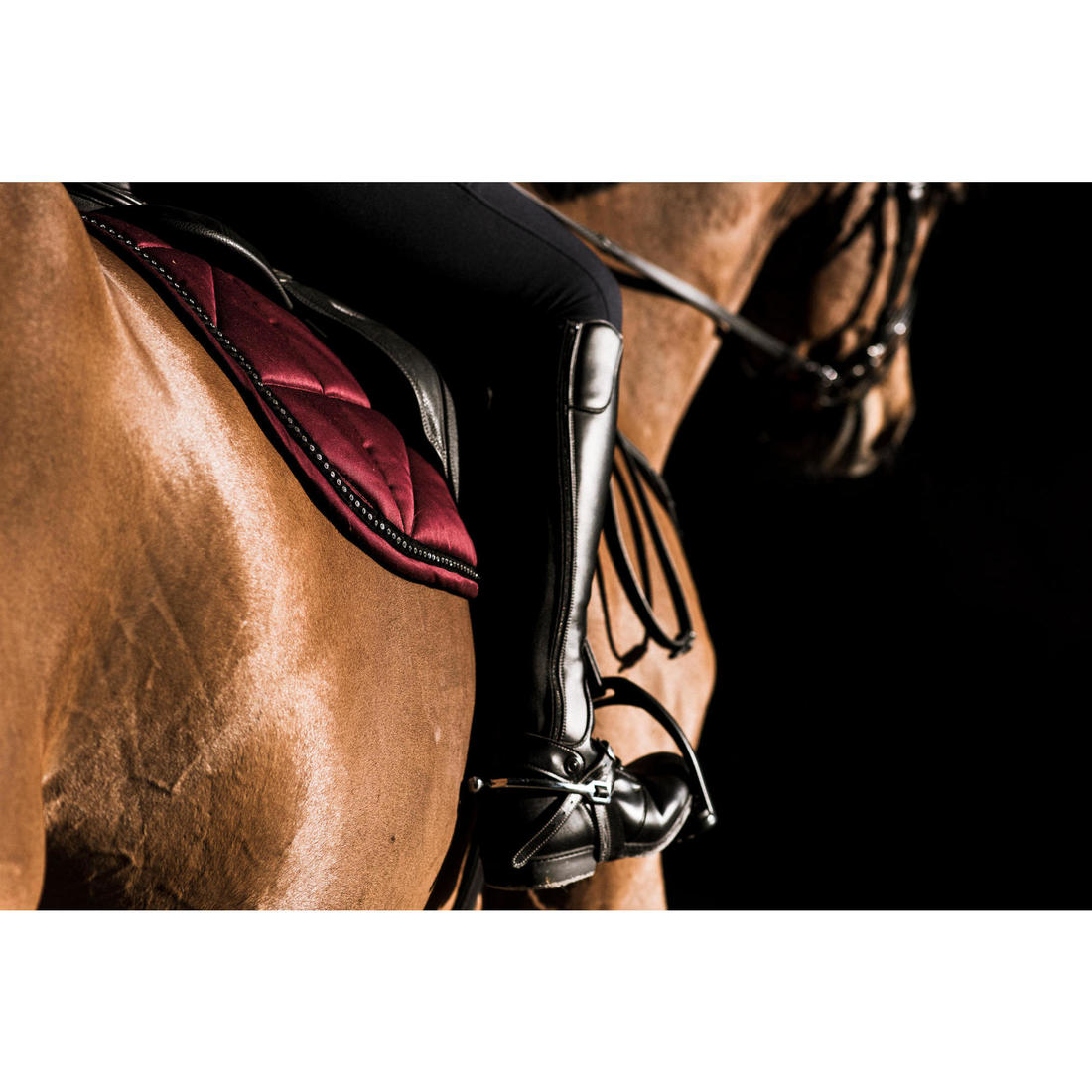 Mini-chaps équitation synthétique Adulte - 500 noires