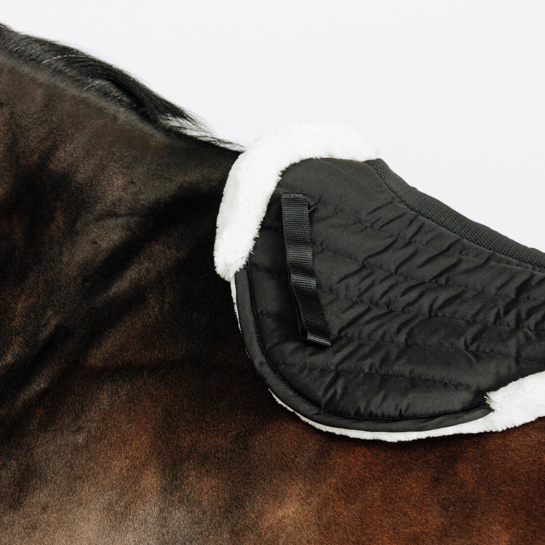 Amortisseur cheval mouton noir 900