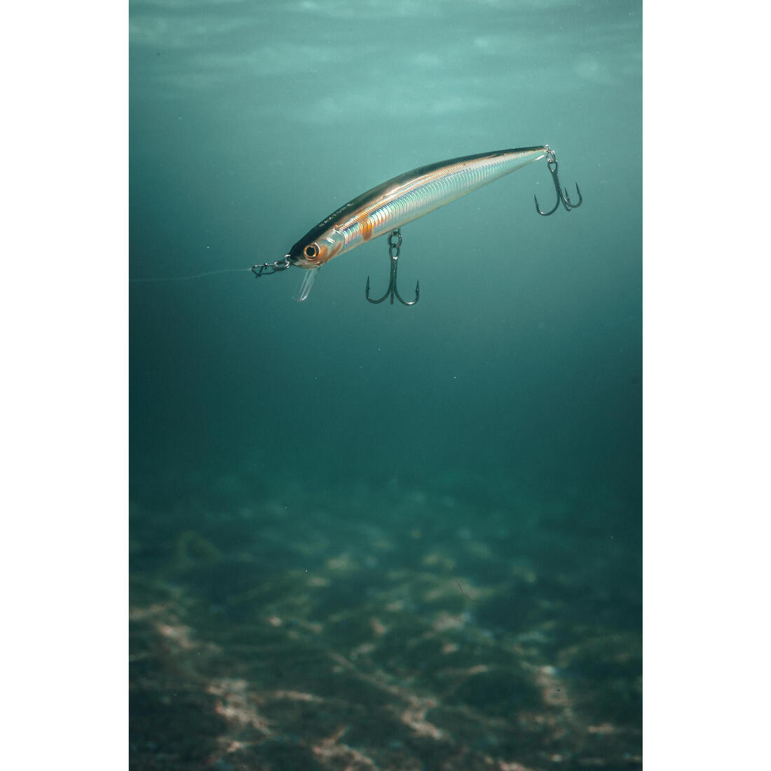 Poisson nageur SAXTON 140F Blue mack au leurre en mer