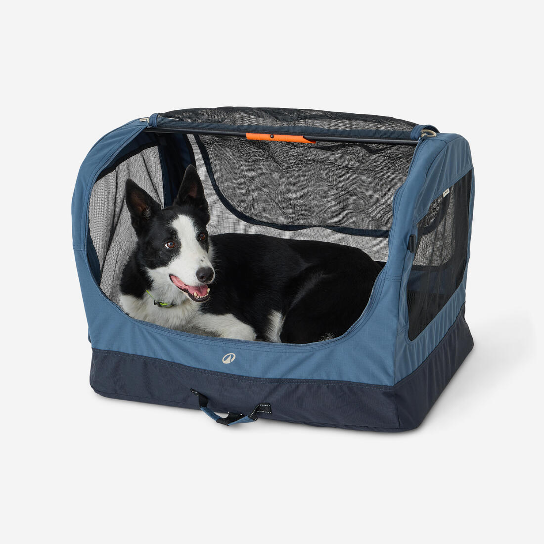 Caisse de transport pliable pour 1 chien, bleue