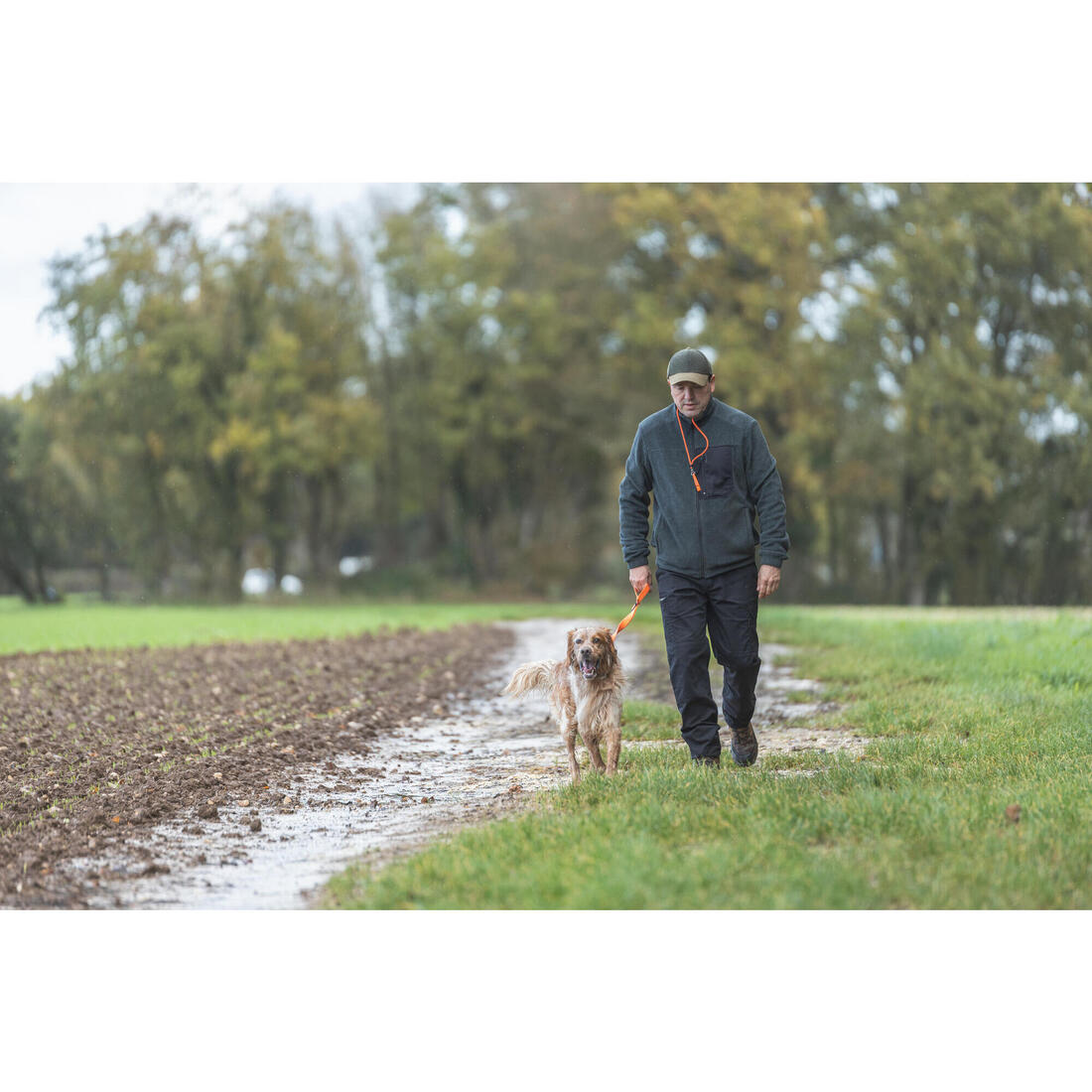 Laisse chien 100