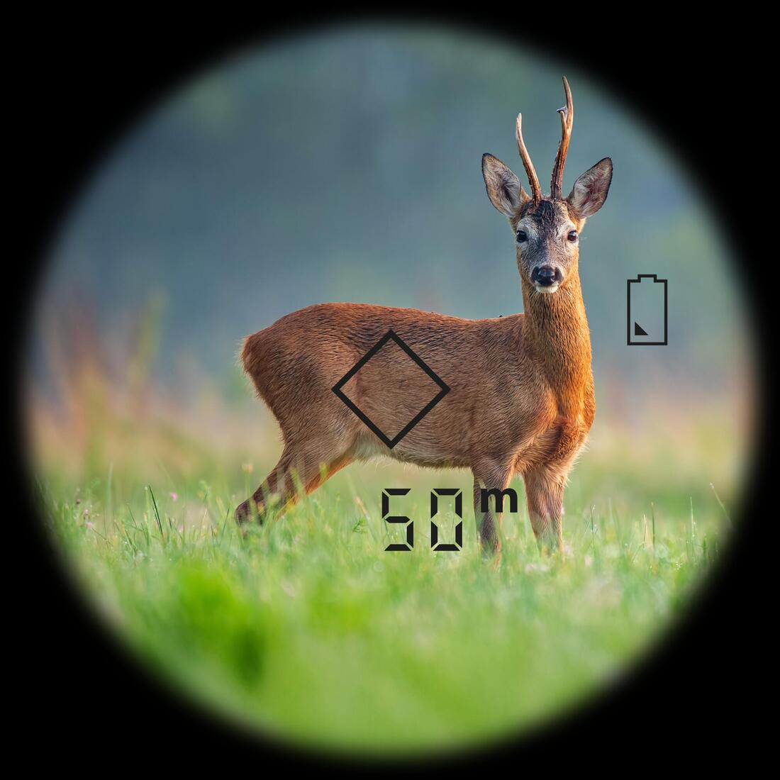 Jumelles télémétriques chasse 10X42 LRF 1000M