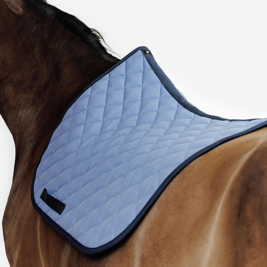 Tapis de selle équitation cheval - 100 marine