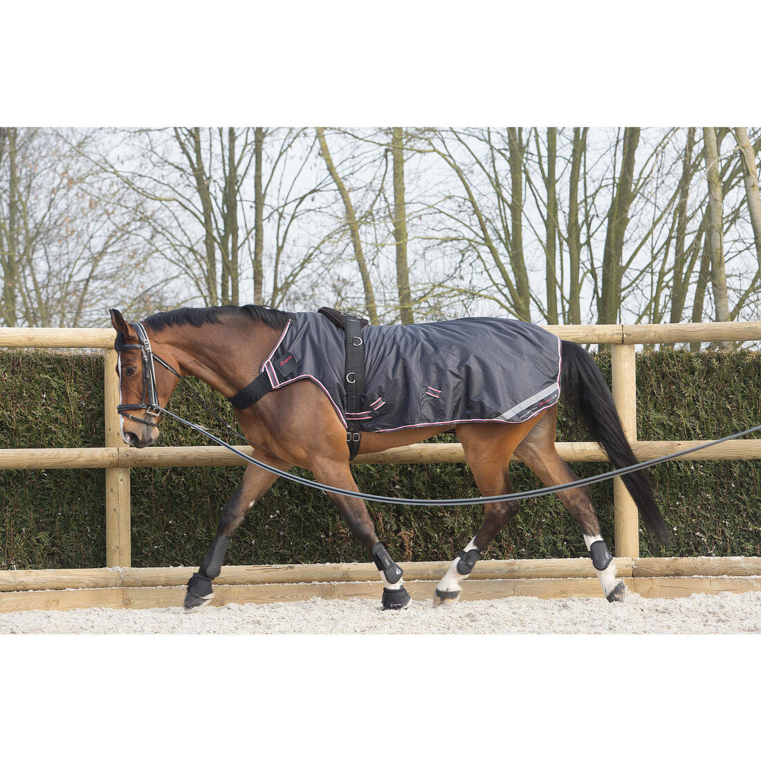Surfaix de travail équitation cheval et poney noir