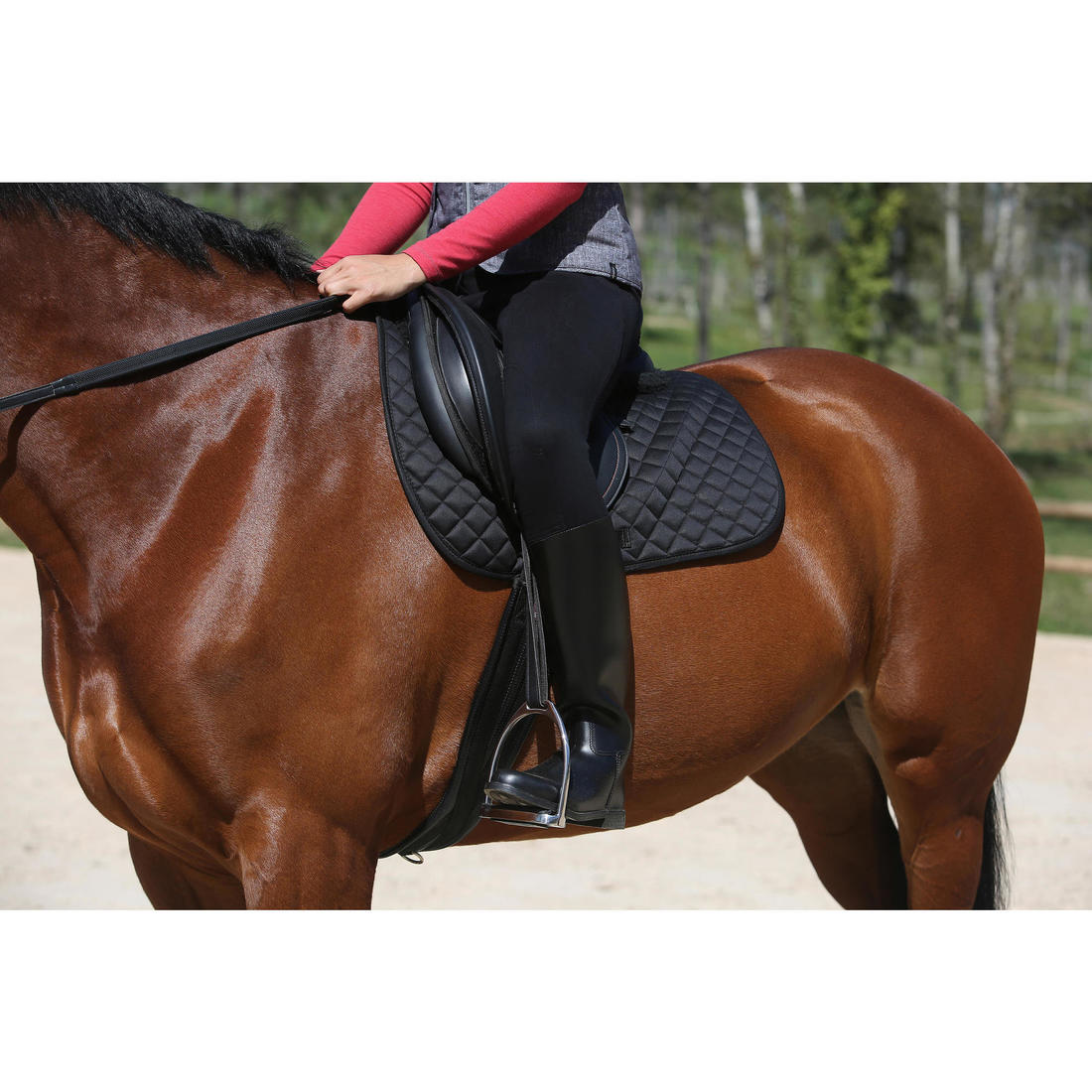 Bottes équitation adulte SCHOOLING noir