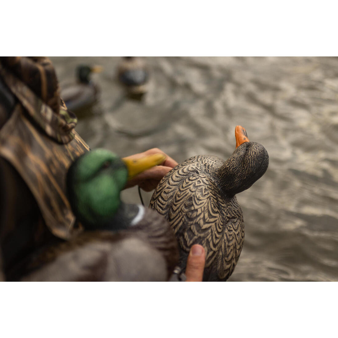 APPELANT COLVERT MALE 500 HD