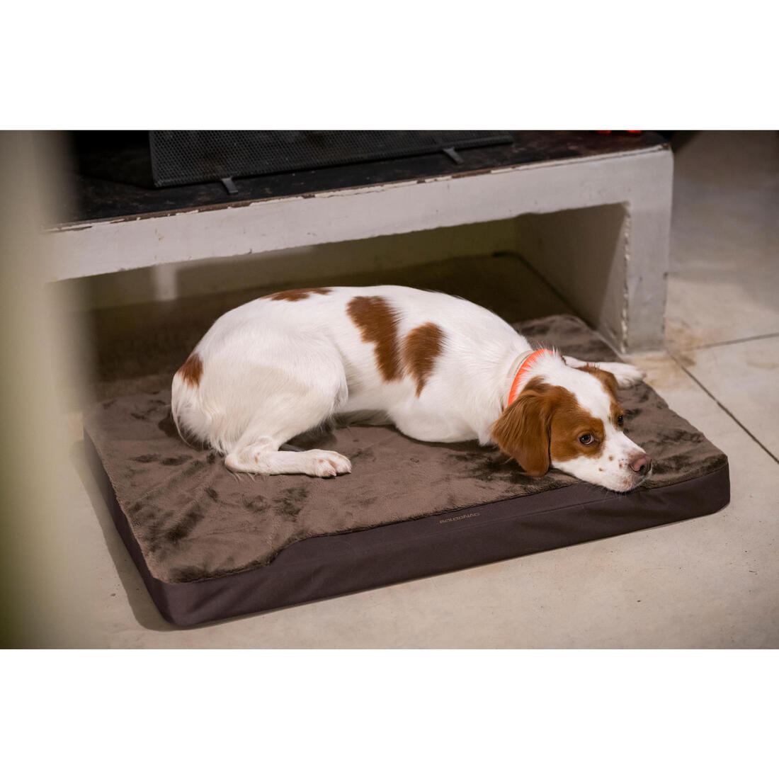 Tapis Chien épaisseur 6cm  marron 900