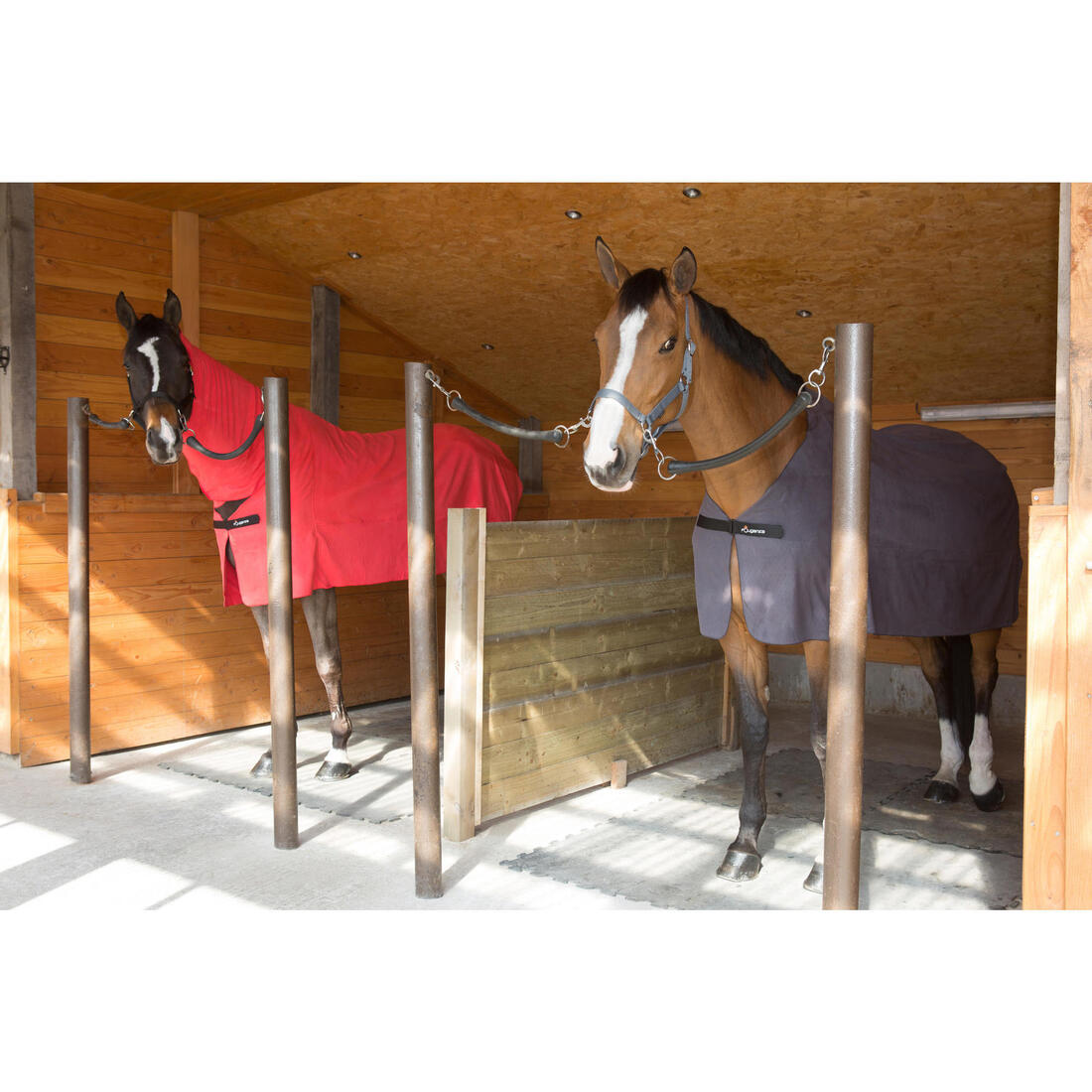 Licol équitation cheval et poney SCHOOLING