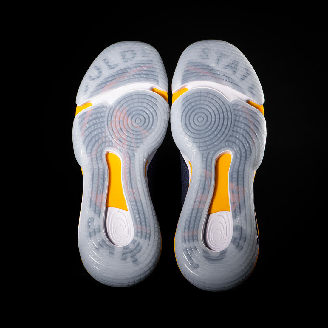 CHAUSSURES DE BASKETBALL NBA LOS ANGELES LAKERS TIGE MID - SE900