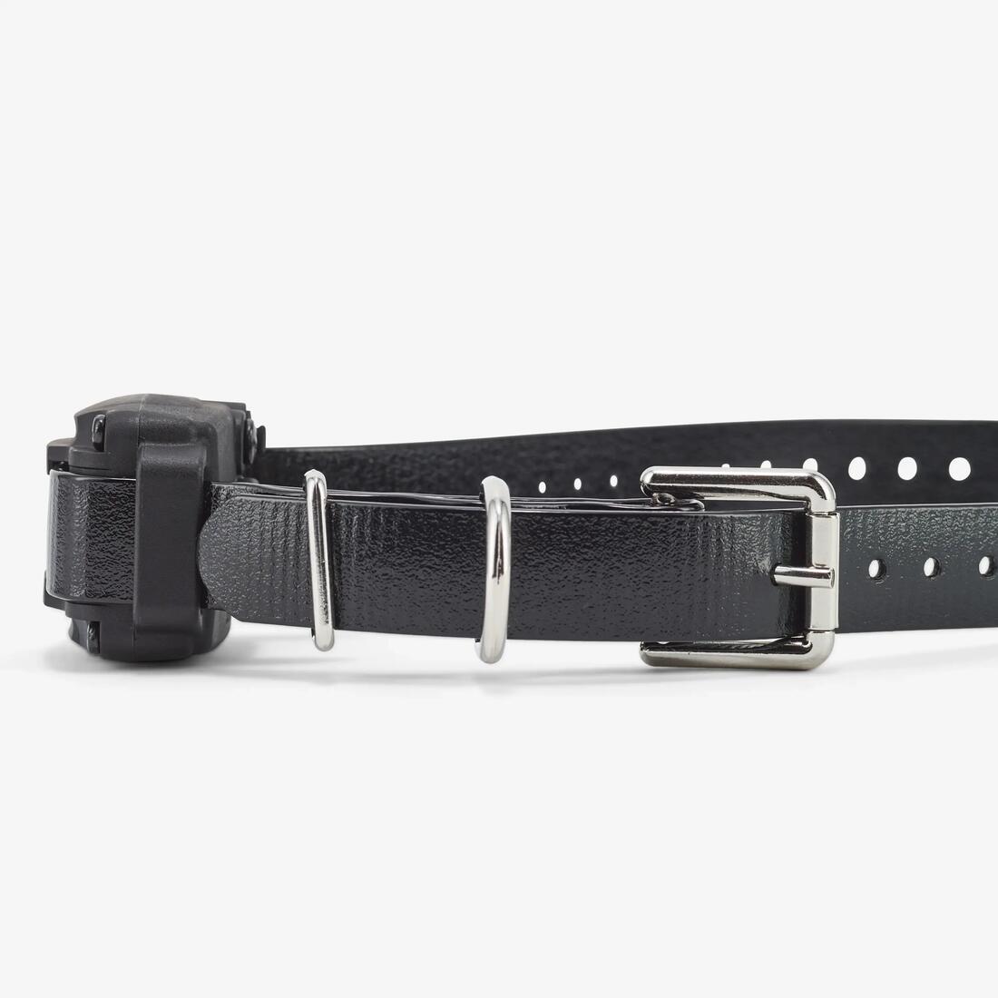 Pack collier + télécommande de dressage pour chien 610c