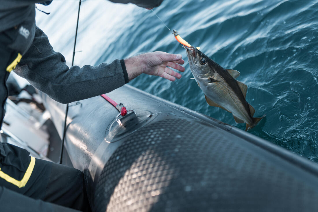 KIT leurres souples shad texan anchois ANCHO 120 12gr ayu en mer